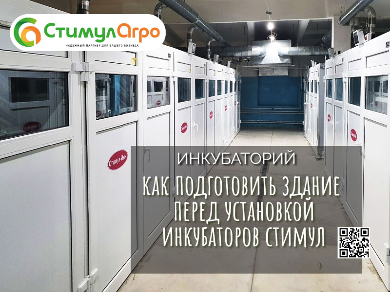 Инкубаторий: как подготовить здание перед установкой инкубаторов Стимул Инкубаторий: как подготовить здание перед установкой инкубаторов Стимул