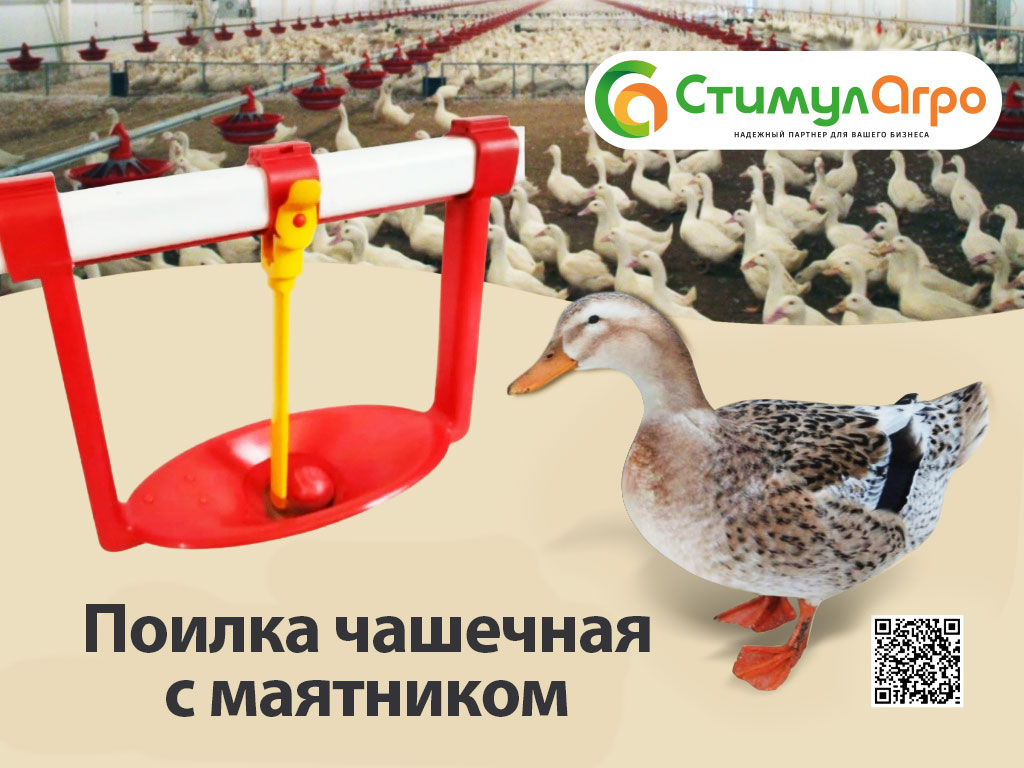 Чашечная-поилка-с-маятником_1.jpg Чашечная-поилка-с-маятником_1.jpg